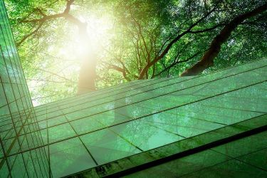 Rapport ESG 2024: Perspectives, tendances et nouvelles exigences
